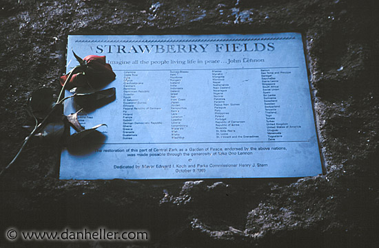 strawberry-fields.jpg