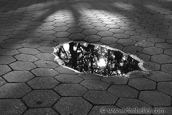 https://www.danheller.com/images/UnitedStates/NewYork/Misc/puddle-reflect-big.jpg