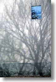 america, new york, new york city, north america, shadows, trees, united states, vertical, photograph