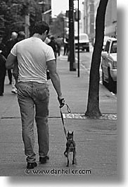 america, mansbestfriend, new york, new york city, north america, streets, united states, vertical, photograph