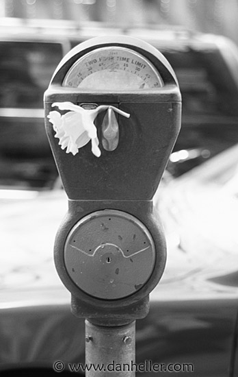 park-meter-flower.jpg