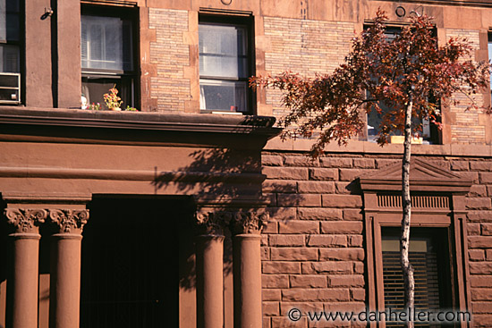 tree-shadow-bldg.jpg