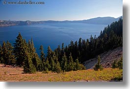 images/UnitedStates/Oregon/CraterLake/Lake/lake-n-trees-3.jpg