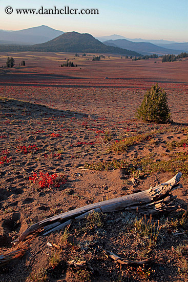 log-landscape-n-mtns-3.jpg