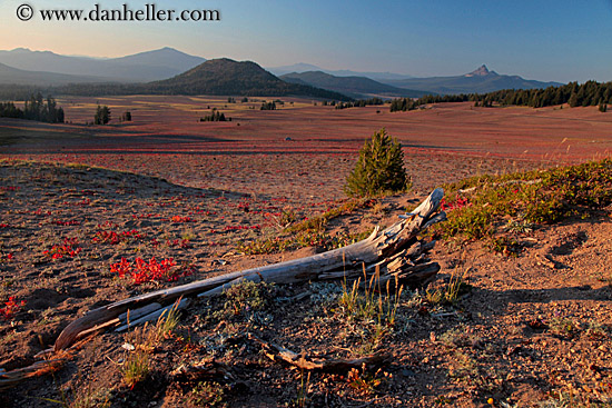 log-landscape-n-mtns-4.jpg