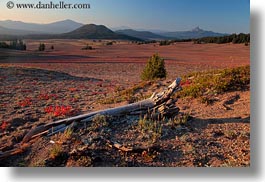 america, crater lake, horizontal, landscapes, logs, mountains, north america, oregon, united states, photograph