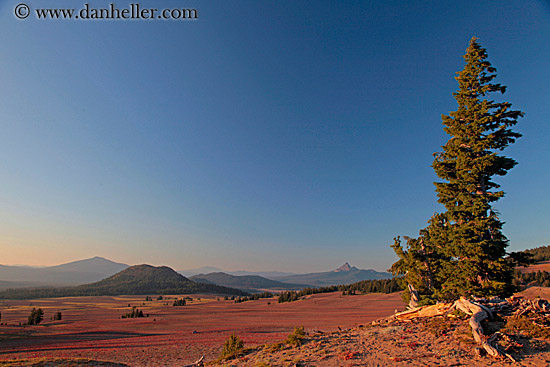 mtns-trees-n-landscape-6.jpg