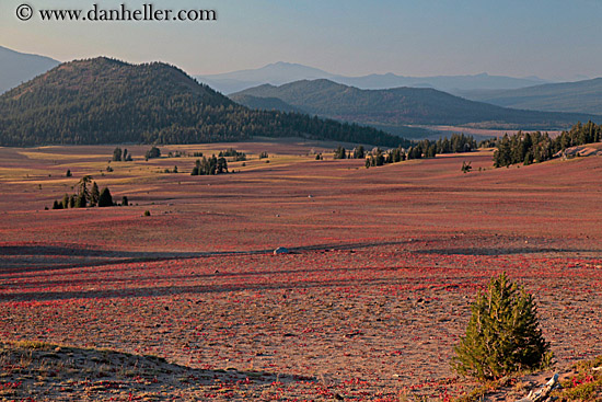 mtns-trees-n-landscape-7.jpg