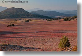 america, crater lake, horizontal, landscapes, mountains, north america, oregon, trees, united states, photograph