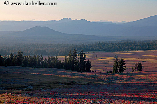 mtns-trees-n-landscape-8.jpg