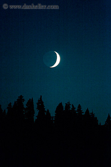 crescent-moon-n-trees.jpg
