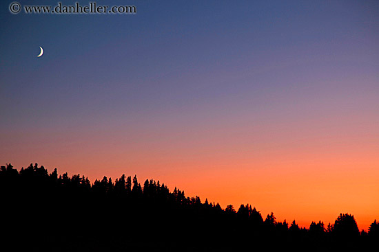 moon-over-trees-at-sunset-2.jpg