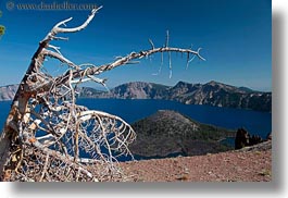 america, crater lake, dead, horizontal, north america, oregon, trees, united states, vegetation, photograph