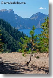 america, crater lake, lakes, north america, oregon, trees, united states, vegetation, vertical, views, photograph