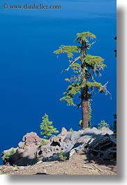 america, crater lake, lakes, north america, oregon, trees, united states, vegetation, vertical, views, photograph