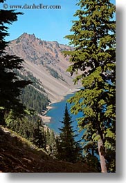 america, crater lake, north america, oregon, trees, united states, vegetation, vertical, photograph