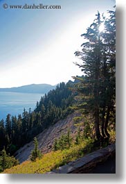 america, crater lake, north america, oregon, trees, united states, vegetation, vertical, photograph