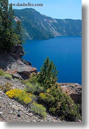 america, crater lake, flowers, north america, oregon, united states, vegetation, vertical, yellow, photograph