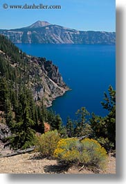 america, crater lake, flowers, north america, oregon, united states, vegetation, vertical, yellow, photograph