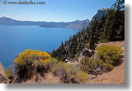 america, crater lake, flowers, horizontal, north america, oregon, united states, vegetation, yellow, photograph