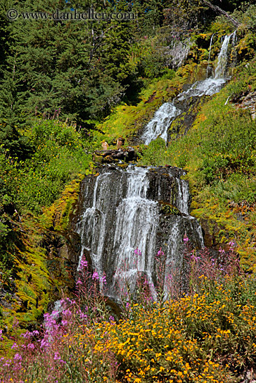 videa-waterfalls-n-flowers-02.jpg