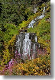 images/UnitedStates/Oregon/CraterLake/VidaeWaterfalls/videa-waterfalls-n-flowers-02.jpg