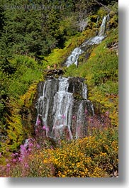 america, crater lake, flowers, north america, oregon, united states, vertical, vidae waterfalls, videa, waterfalls, photograph