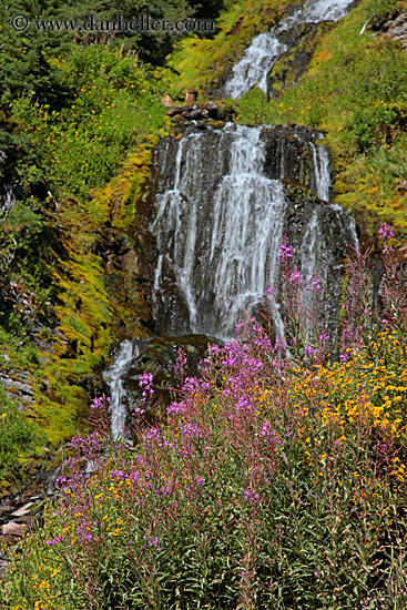 videa-waterfalls-n-flowers-04.jpg
