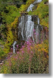 images/UnitedStates/Oregon/CraterLake/VidaeWaterfalls/videa-waterfalls-n-flowers-04.jpg