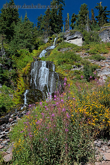 videa-waterfalls-n-flowers-05.jpg