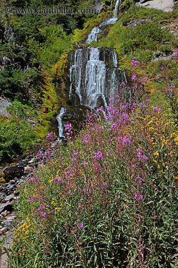 videa-waterfalls-n-flowers-06.jpg