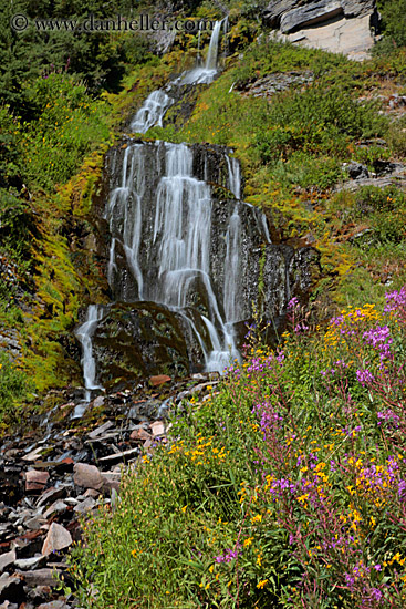 videa-waterfalls-n-flowers-08.jpg