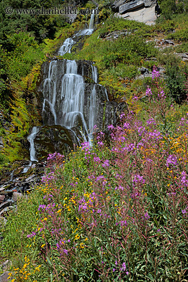 videa-waterfalls-n-flowers-10.jpg