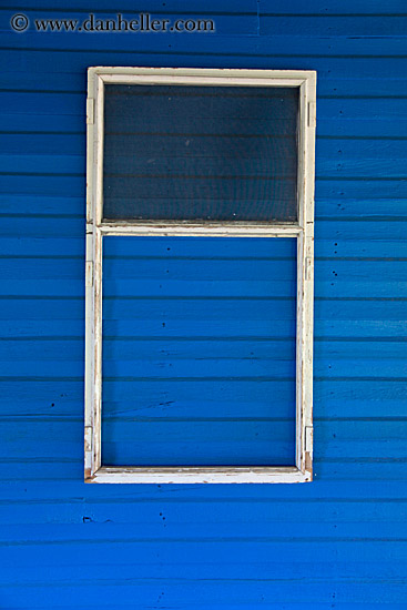 blue-wall-n-screen-window.jpg