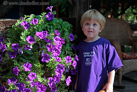 jack-n-purple-flowers.jpg
