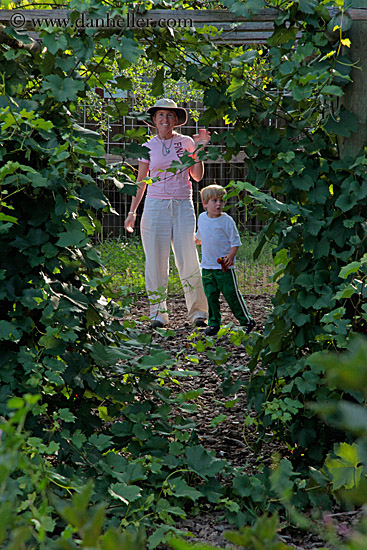 Jack and Jill Thru Ivy