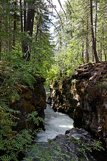 rogue-gorge-1.jpg