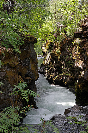 rogue-gorge-2.jpg