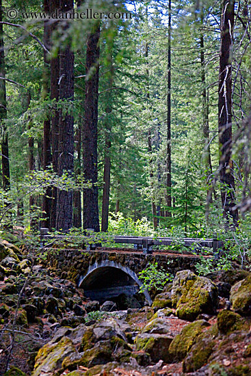 stone-bridge-in-forest.jpg