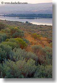 america, bushes, landscapes, north america, oregon, rivers, scenics, united states, vertical, photograph