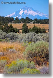 images/UnitedStates/Oregon/Scenics/MtJefferson/mt_jefferson-n-shrubs-2.jpg