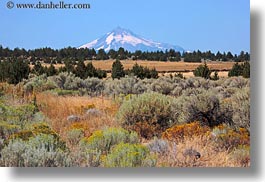 images/UnitedStates/Oregon/Scenics/MtJefferson/mt_jefferson-n-shrubs-3.jpg