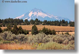 images/UnitedStates/Oregon/Scenics/MtJefferson/mt_jefferson-n-shrubs-4.jpg