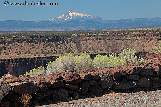 mt_jefferson-n-shrubs-6.jpg