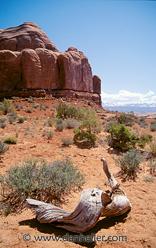 arches05.jpg