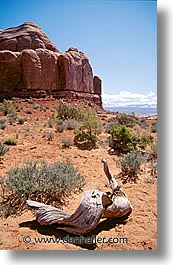 america, arches, arches park, north america, united states, utah, vertical, western usa, photograph