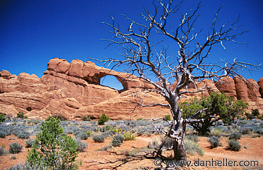 arches08.jpg