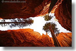 america, bryce canyon, canyons, horizontal, north america, trees, united states, utah, western usa, photograph