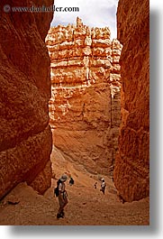 america, bryce canyon, canyons, north america, united states, utah, vertical, walking, western usa, photograph