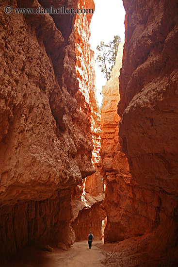 walking-in-canyon-02.jpg